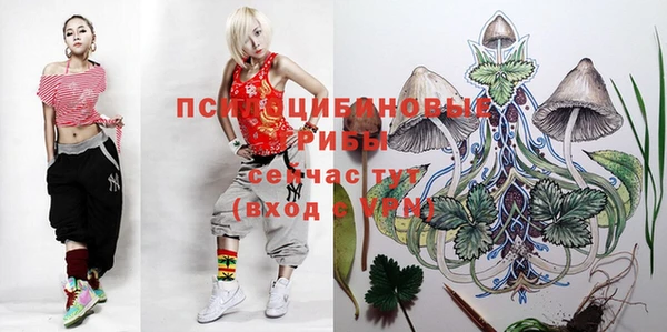 крисы Абдулино