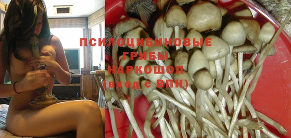крисы Абдулино