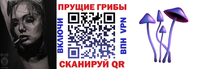 цены наркотик  Канск  Псилоцибиновые грибы Psilocybe 